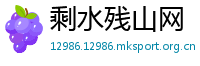 剩水残山网